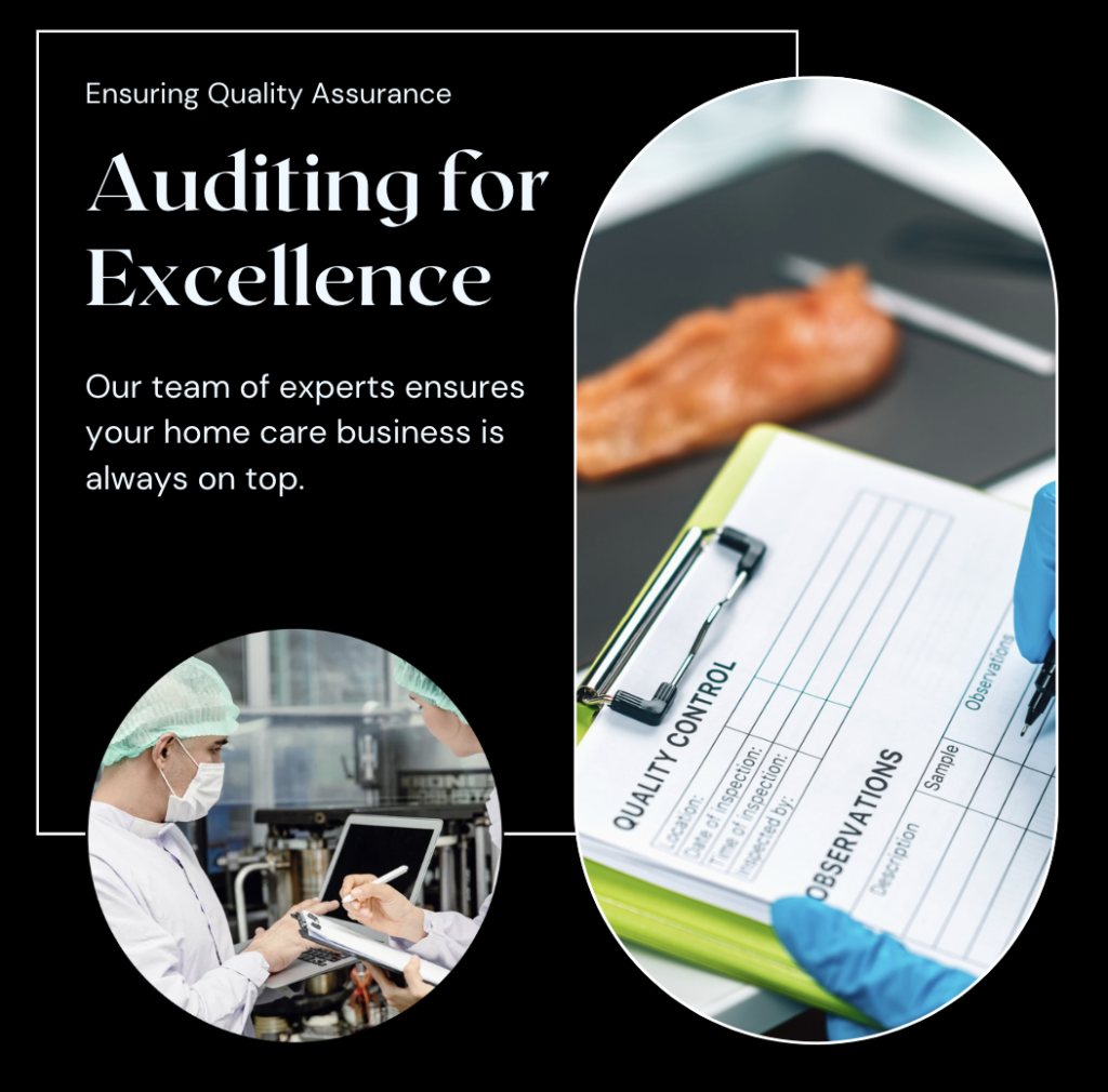Templates for quality assurance and auditing